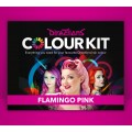 Directions Colour Kit Flamingo Pink Directions Colour Kit Flamingo Pink